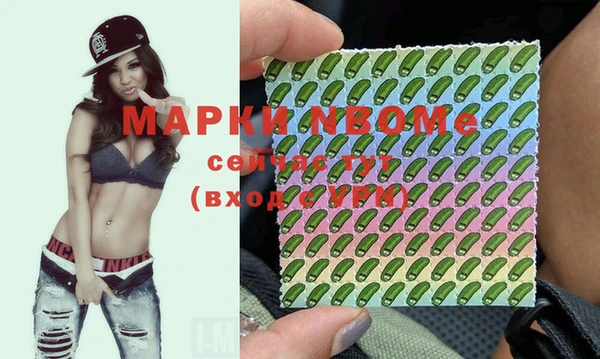 прущие грибы Беломорск