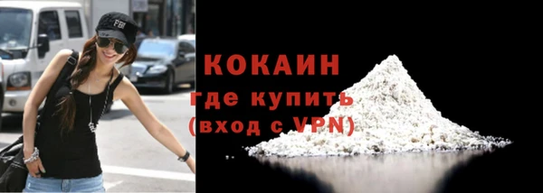 прущие грибы Беломорск