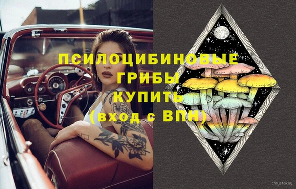 тгк Богородск