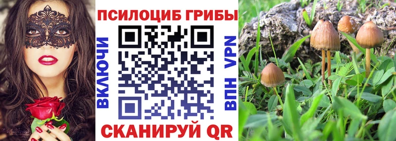 кракен tor  магазин  наркотиков  Чудово  Псилоцибиновые грибы мухоморы 